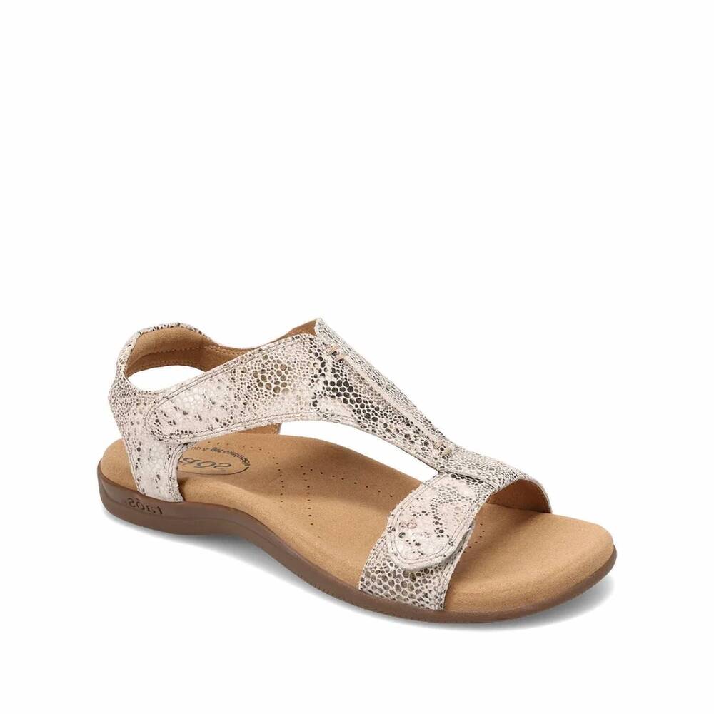 NEW TAOS women's the show sandal in brown snake